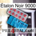 Étalon Noir 9000 new14